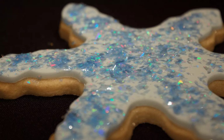 Snowflake Icing Cookie Edible Glitter