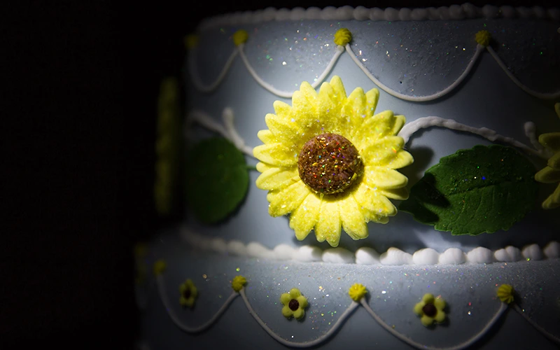 GM Free Cake Glitter